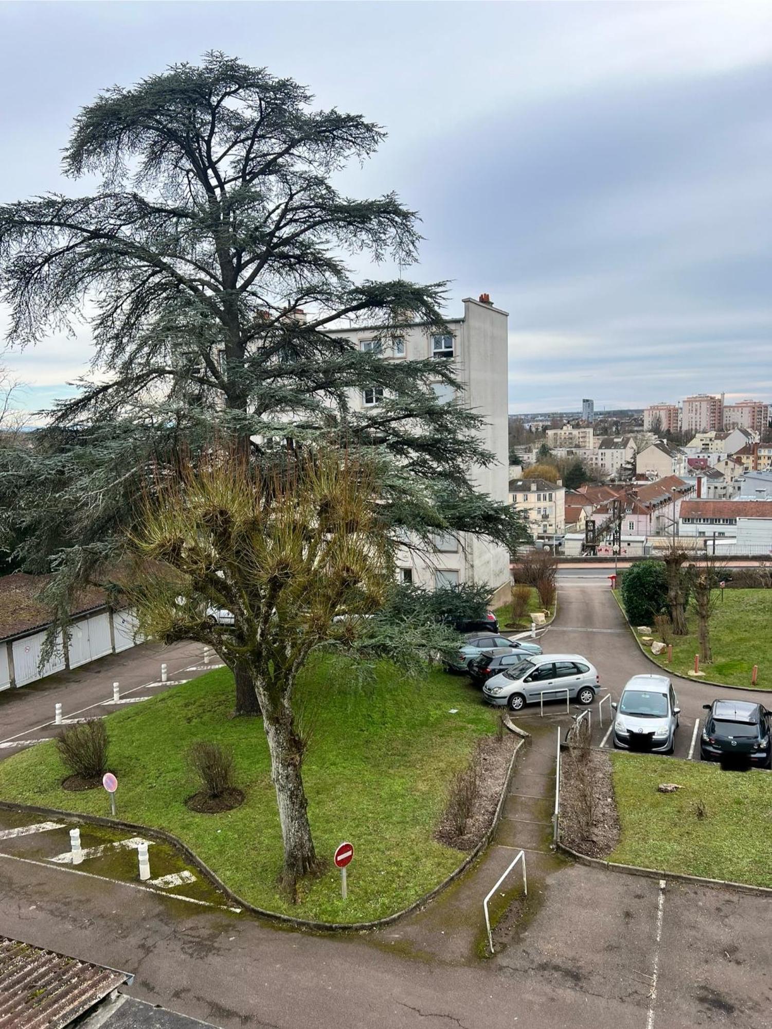Le Bellevue - T3 - Gare & Les Jardins Darcy - Parking Free Leilighet Dijon Eksteriør bilde